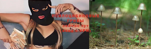 а пвп мука Переславль-Залесский