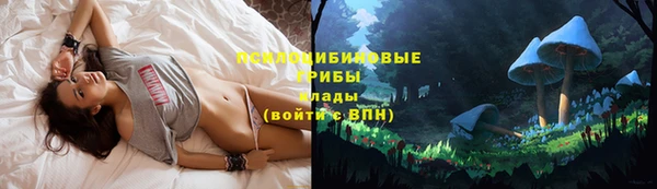 СК Пестово