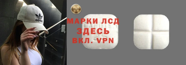 ECSTASY Чегем