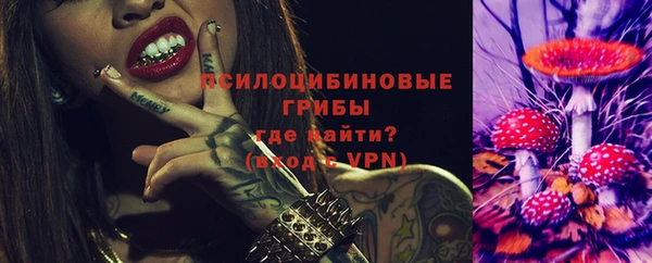 apvp Великий Новгород