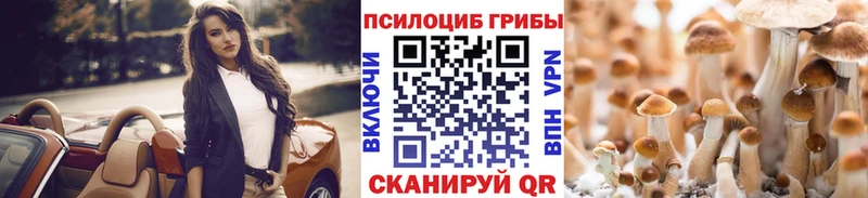 Галлюциногенные грибы Psilocybine cubensis  мега зеркало  Белая Холуница 